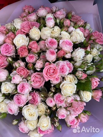 Букет Цветы Роза кустовая в ассортименте