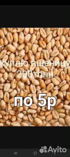 Сельское хозяйство