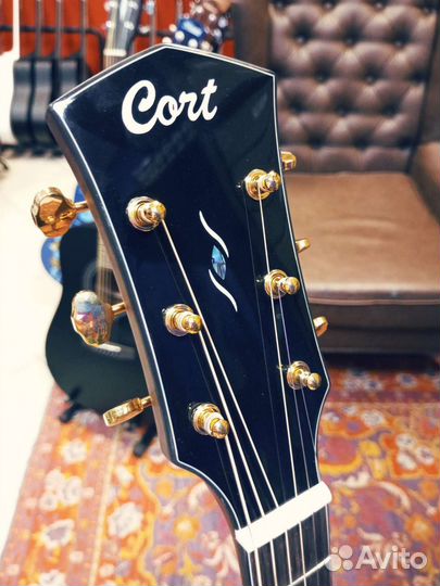 Cort Gold-D6 с чехлом