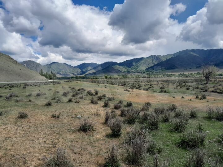 Участок 4,2 га (СНТ, ДНП)