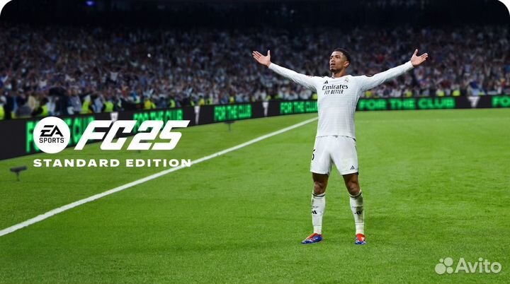 EA Sports FC 25/FIFA Standard Edition PS4/PS5