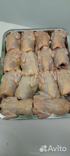Мясо перепелиное