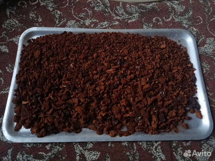 Чага берёзовая