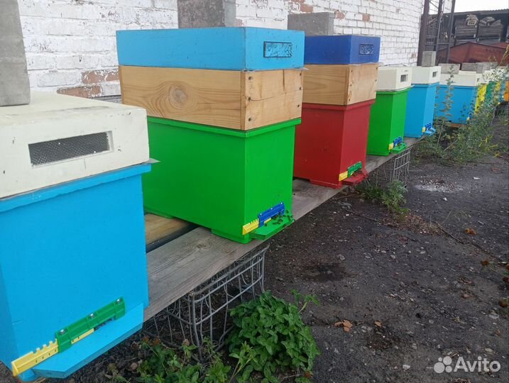 Улья Пеноулик