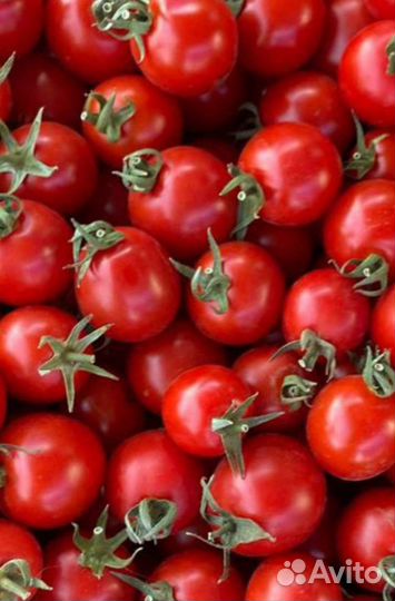 Помидоры Cherry свежие домашние