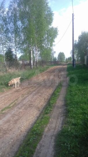 Участок 20 сот. (ИЖС)