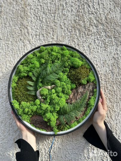 Панно из мха