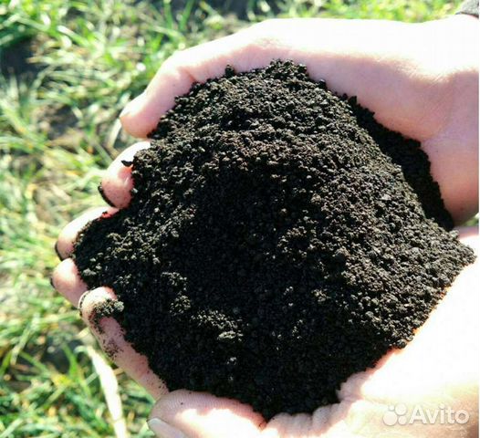 Чернозем,торф,навоз,перегной,песок