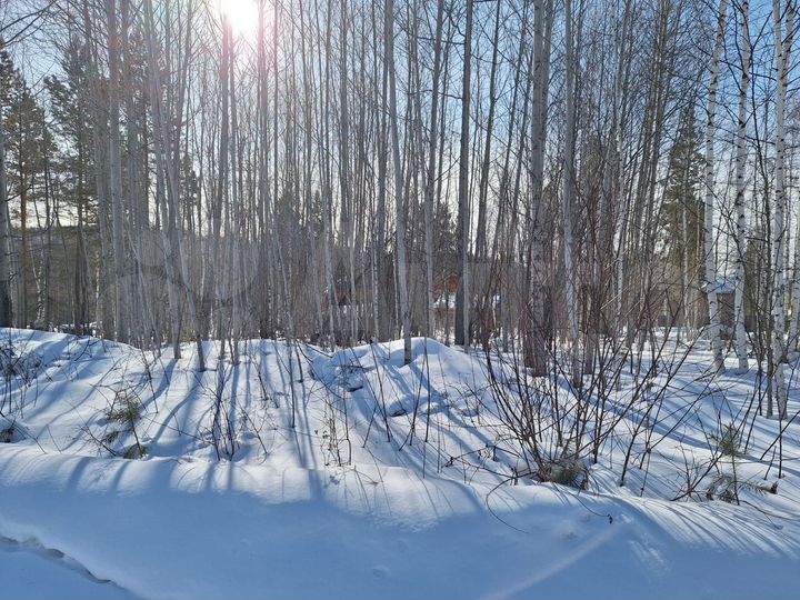 Участок 15 сот. (СНТ, ДНП)