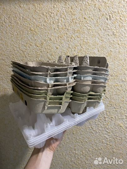 Каретка для яиц