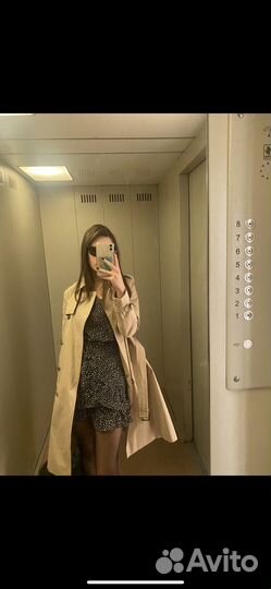 Тренч женский massimo dutti