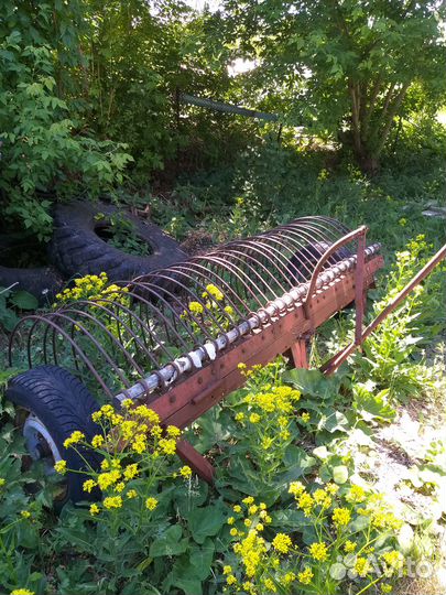 Трактор, 2021