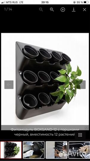 Фитомодуль boxsand