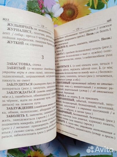 Словарь синонимов и антонимов для школьников