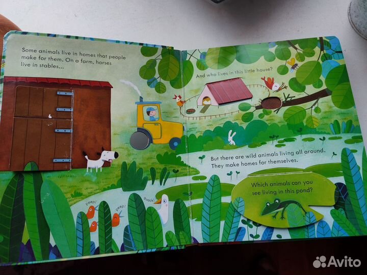 Детская книга Usborne Animal homes