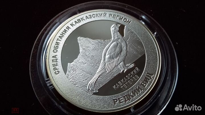 Кавказский тетерев, пруф, Монета