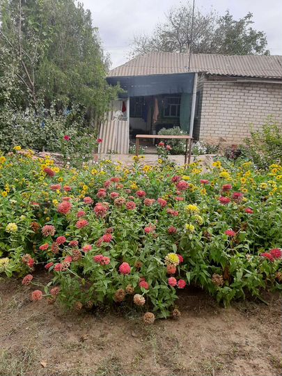 Дом 70 м² на участке 5 сот.