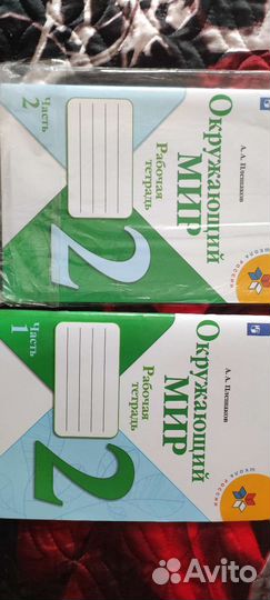 Рабочая тетрадь по окружающему миру 2 класс