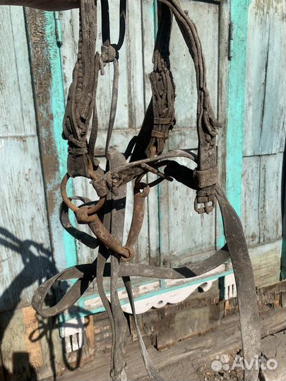 Сбруя для лошади