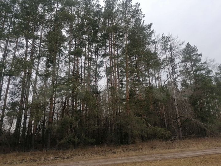 Участок 50 сот. (ИЖС)