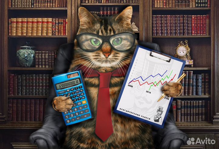 Бухгалтерские услуги