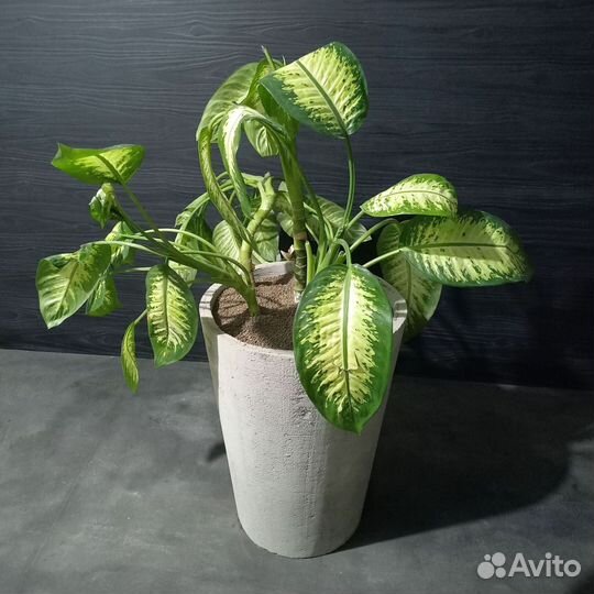 Горшки, Вазоны, Кашпо под заказ из бетона арт 188