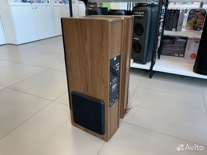 Колонки парные Dialog 80Вт