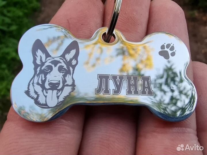 Адресник для собак и кошек (разные)