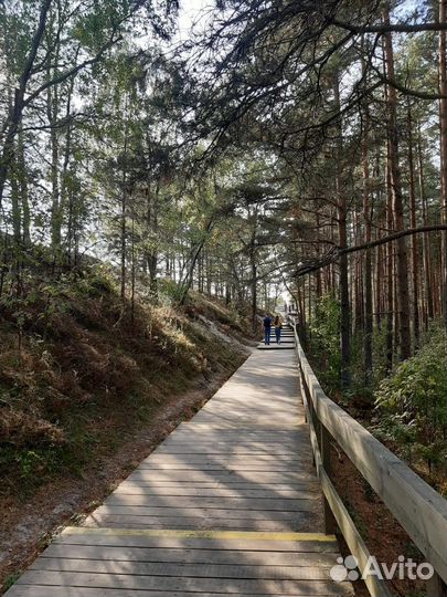 Куршская Коса+Орнитологическая Станция экскурсия