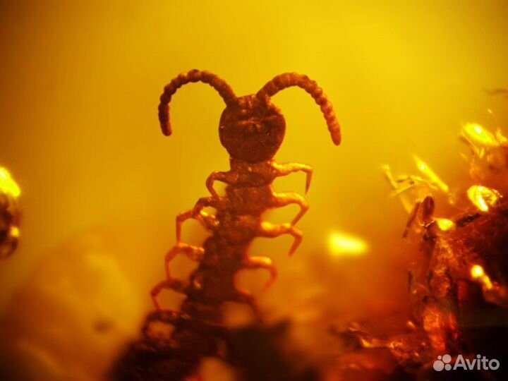 Готовый бизнес, выставка. До 3 млн. прибыли в год