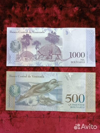 Банкноты Купюры Мира