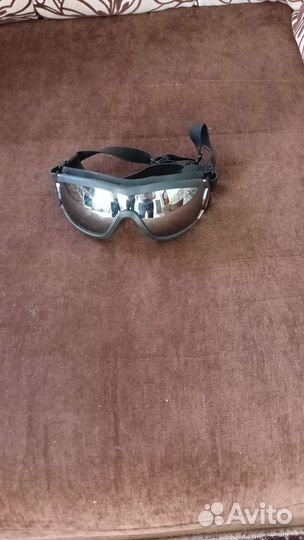 Очки для животных