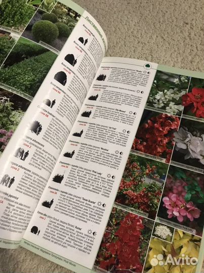 Книга для ландшафтных дизайнеров