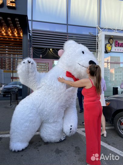 Белый мишка поздравление, Панда поздравление