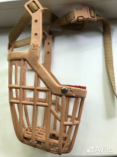 Намордник и ошейник для собак