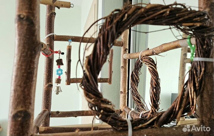 Стенд, игровая площадка для попугаев