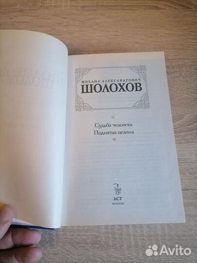 Шолохов. Судьба человека, Поднятая целина. Роман