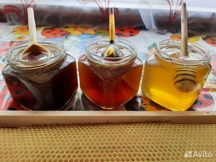Натуральный свежий мед из деревни