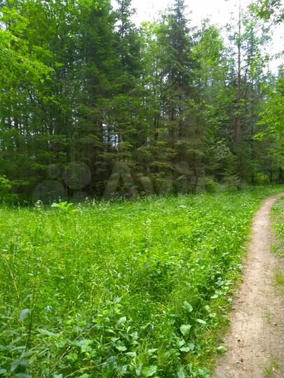 Участок 9 сот. (ИЖС)