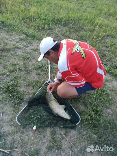 Платная рыбалка