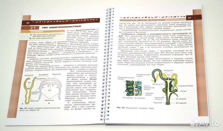 Биология. 7 класс