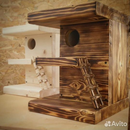 Бельчатник