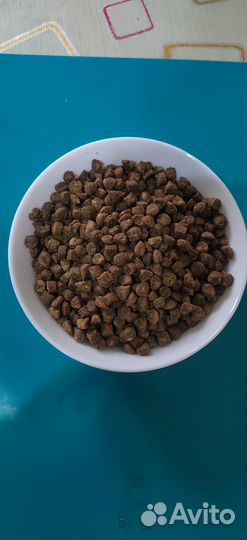 Сухой корм для Собак