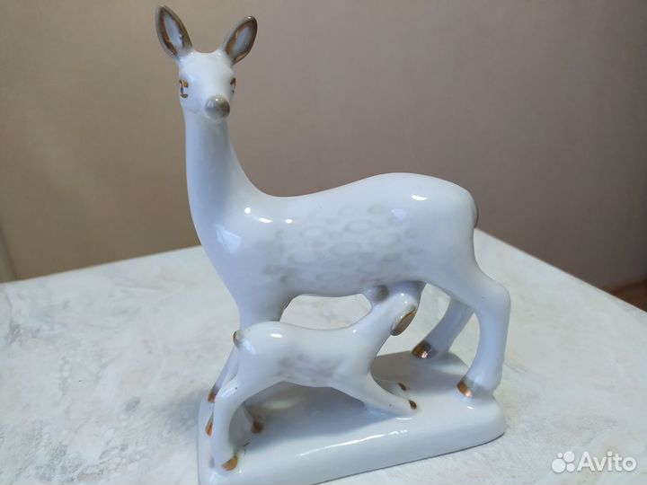 Олениха с олененком