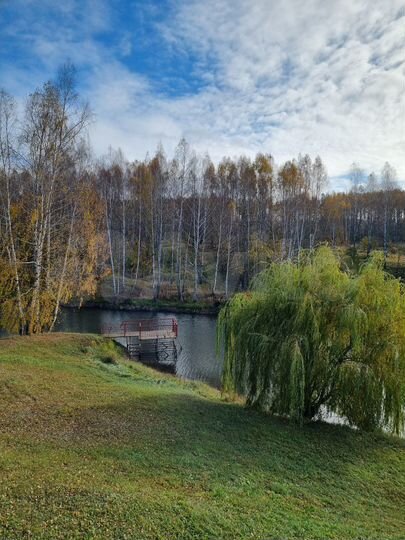 Участок 2,4 га (ИЖС)