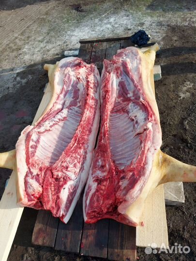 Мясо свинина домашняя