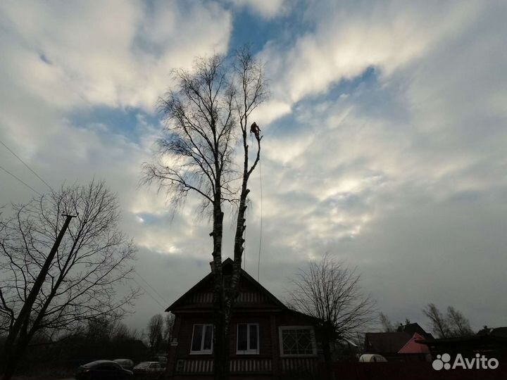 Удаление деревьев
