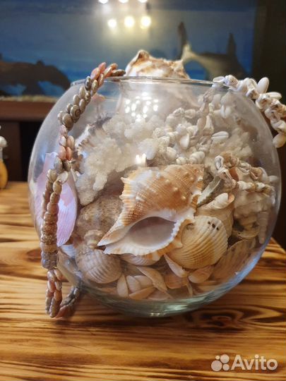 Интерьерная ваза с морскими раковинами