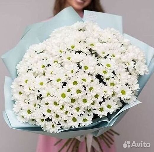 Хризантема Доставка цветов