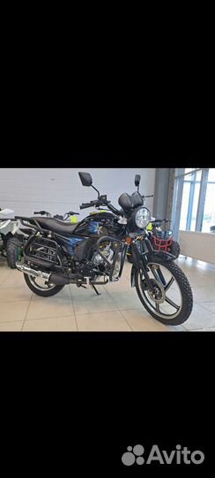 Мопед shuriken evolution